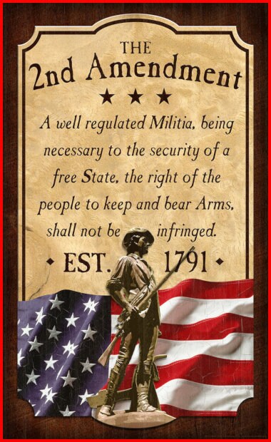 2nd Amendment Text with Continental Soldier Cast Tube In Cast Tube In for Bolt Action™ Pen Kit Bundle
